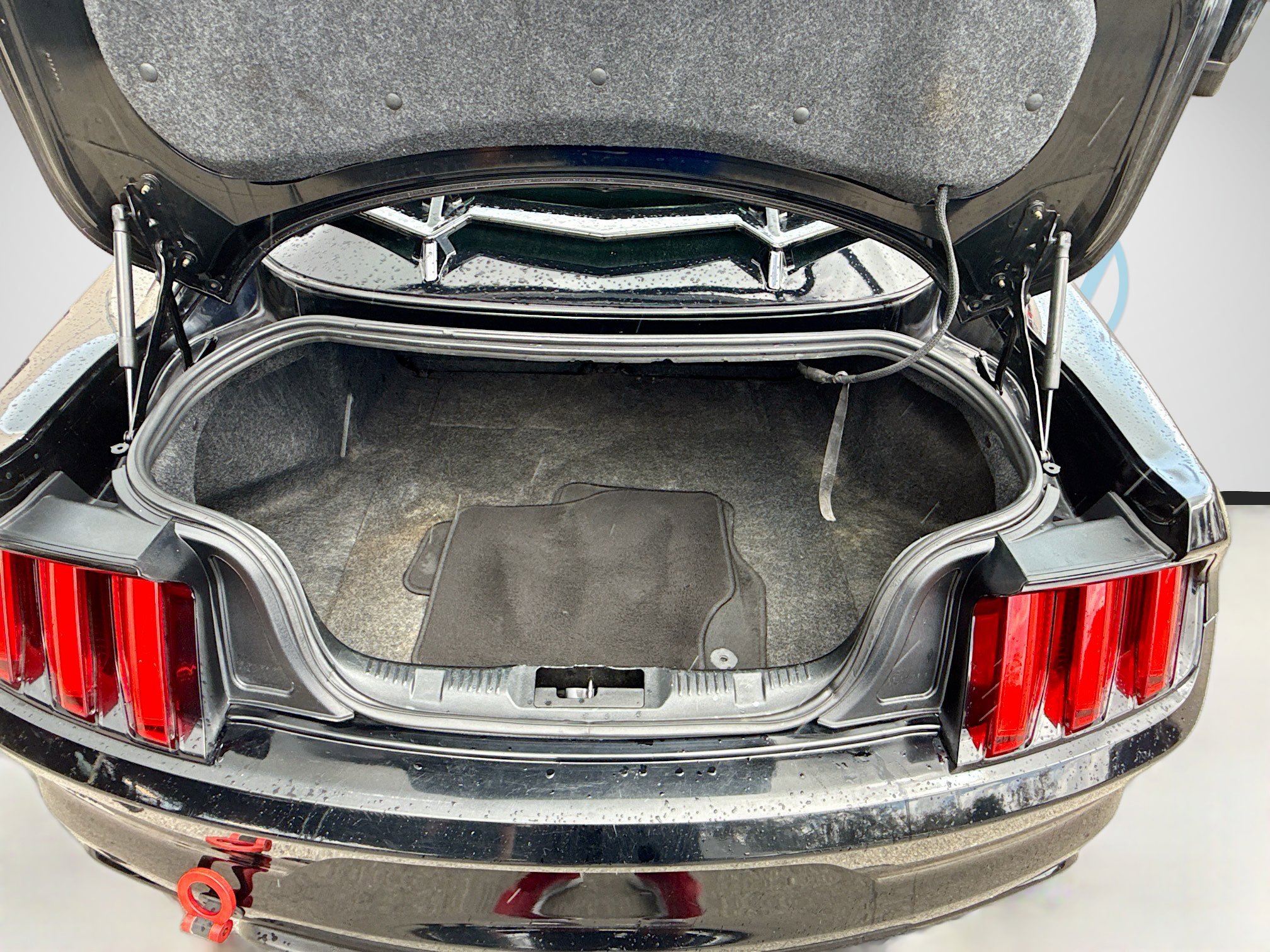 Used 2017 Ford Mustang EcoBoost image 24