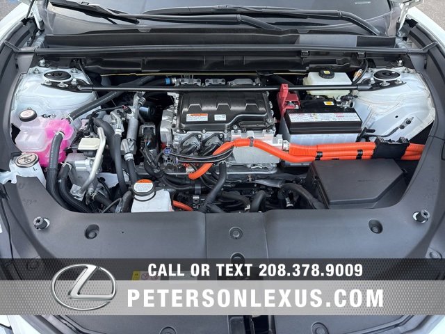 Used 2023 Lexus RZ 450e Premium image 9