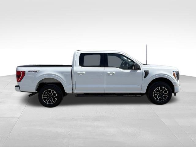 Used 2023 Ford F150 XLT w/ Equipment Group 302A High AWD/4WD image 9