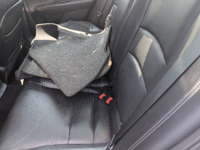Used 2014 Honda Accord EX-L image 4
