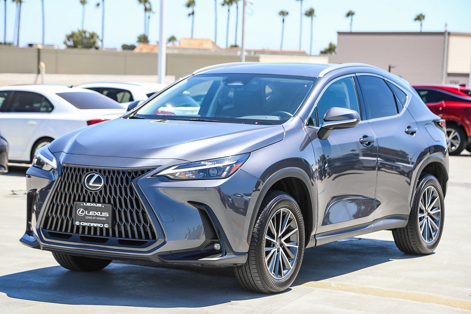Used 2024 Lexus NX 350h AWD w/ Cold Area Package image 3