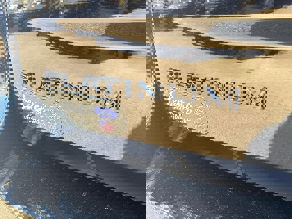 New 2025 Ford Expedition Platinum w/ Stealth Performance Package image 12