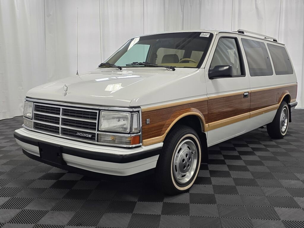 Used 1990 Dodge Grand Caravan LE image 1