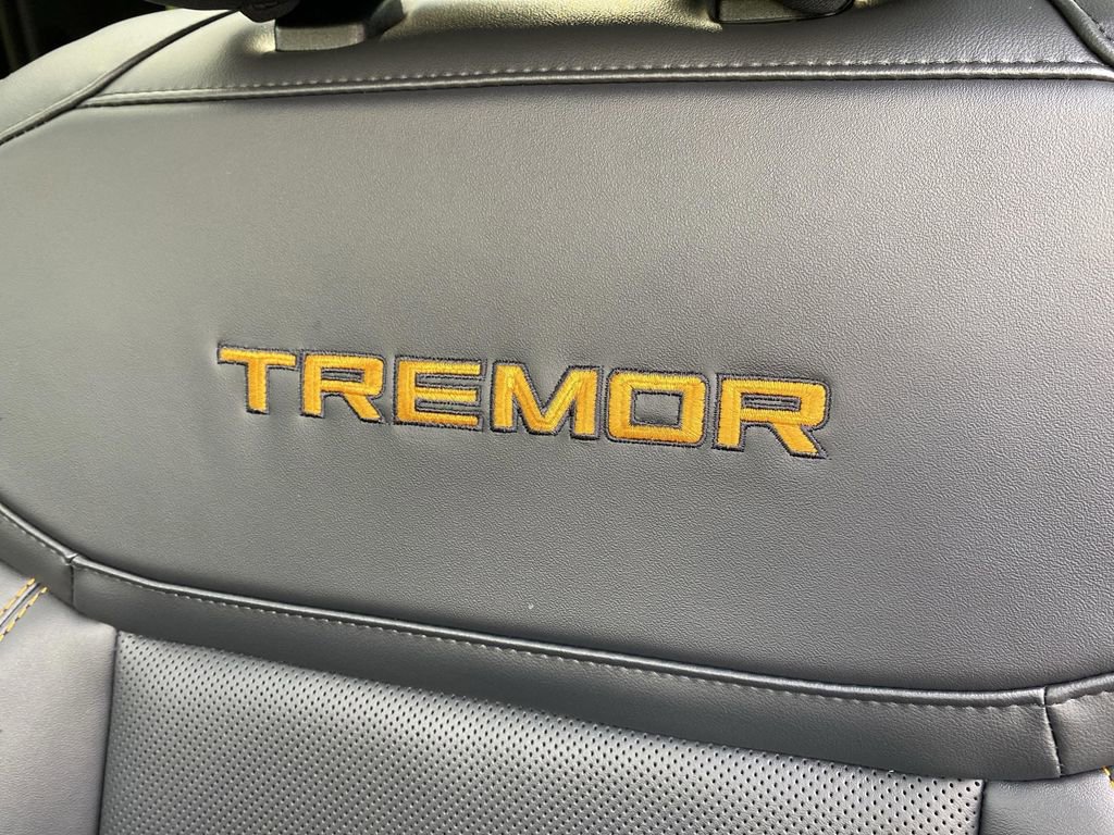 New 2025 Ford Expedition Tremor image 48