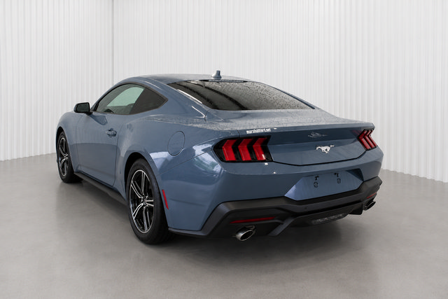 Used 2025 Ford Mustang Coupe RWD image 6