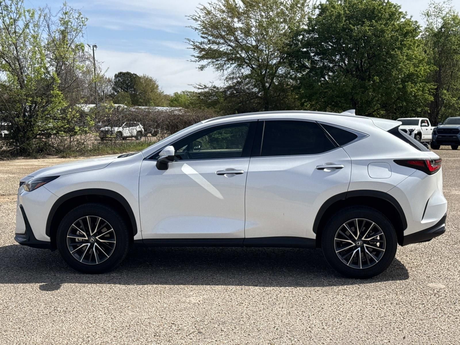 Used 2024 Lexus NX 250 FWD w/ Cold Area Package image 6