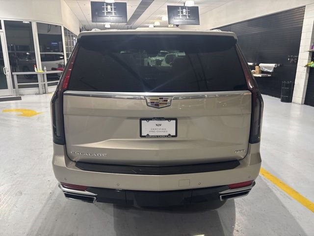 Used 2024 Cadillac Escalade Premium Luxury Platinum image 7
