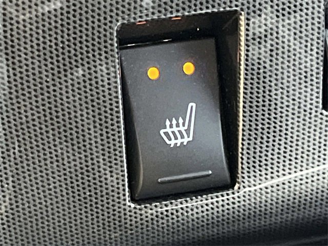 Used 2010 Dodge Challenger R/T image 30