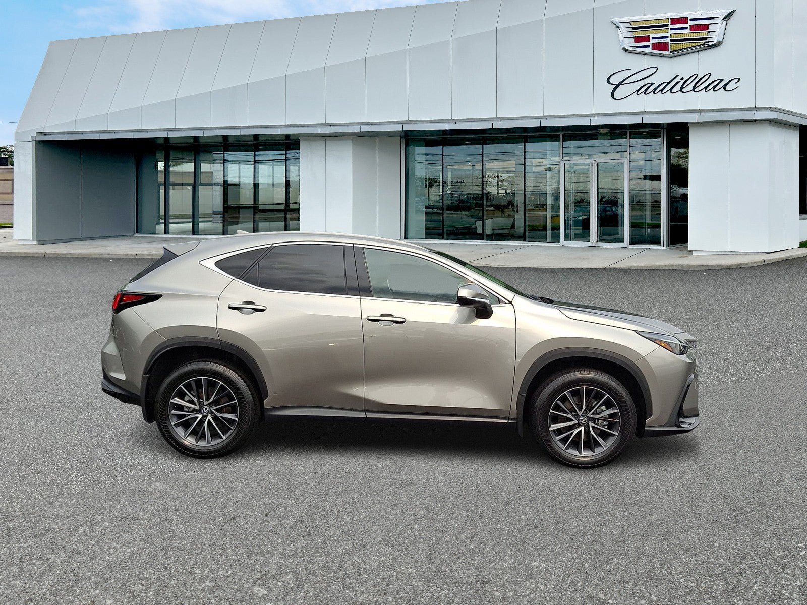 Used 2024 Lexus NX 350 AWD w/ Cold Area Package image 7