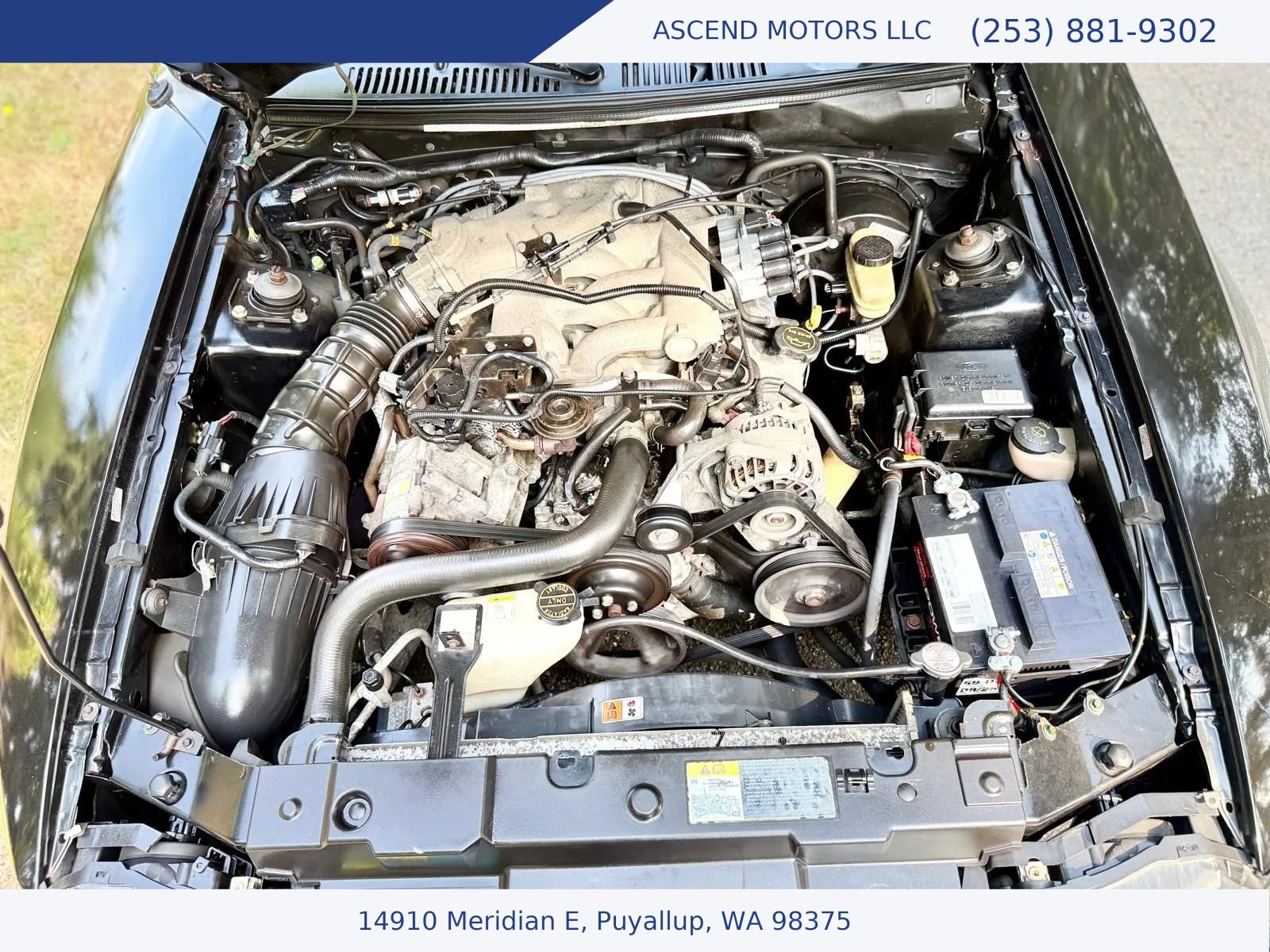 Used 2004 Ford Mustang GT RWD image 15