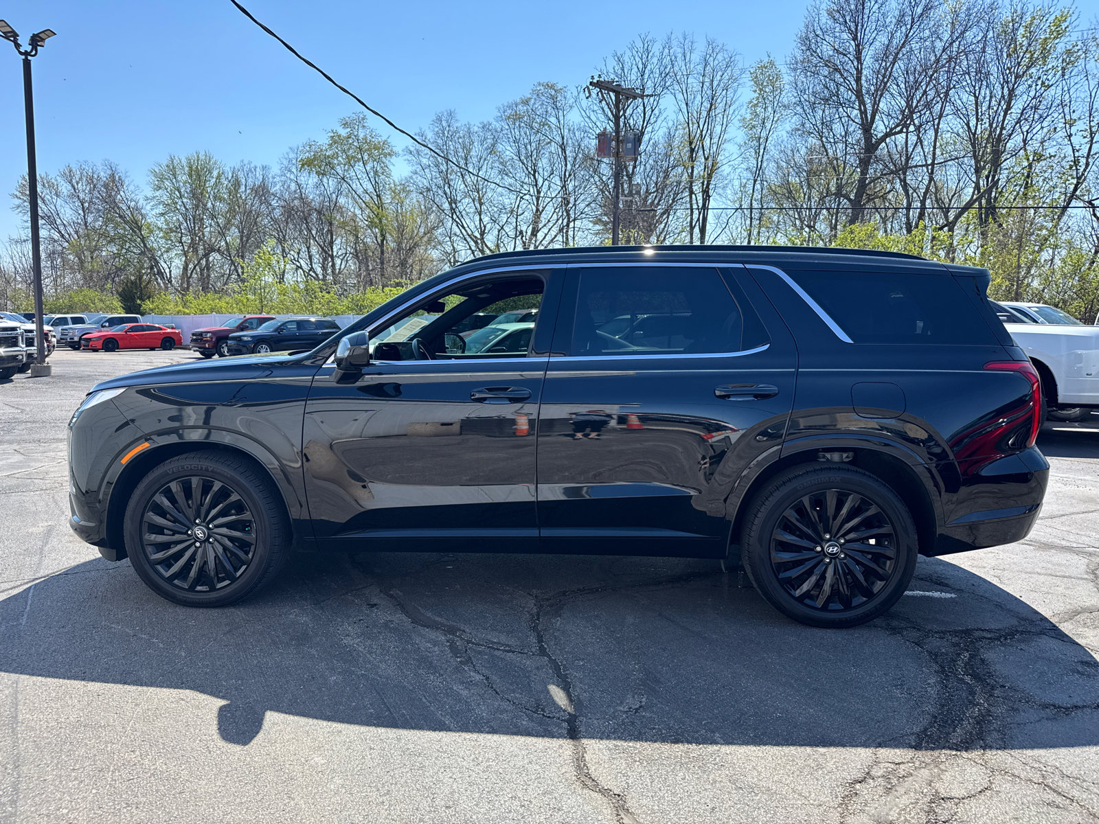 Used 2024 Hyundai Palisade Calligraphy AWD/4WD image 3