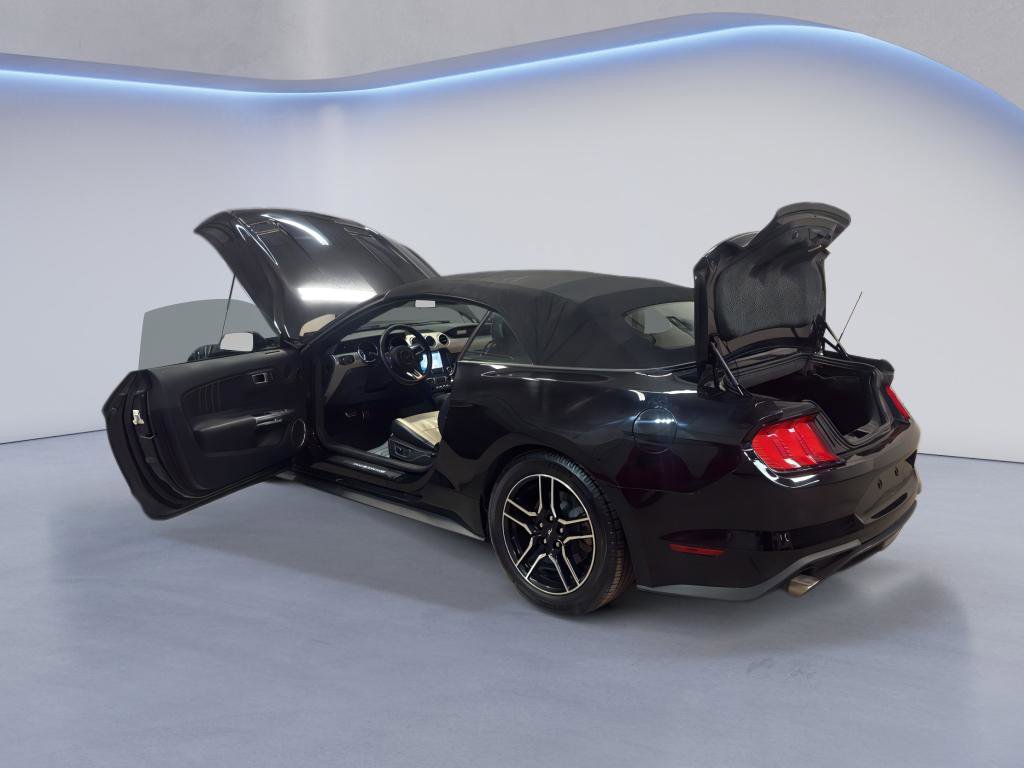 Used 2019 Ford Mustang Premium image 10