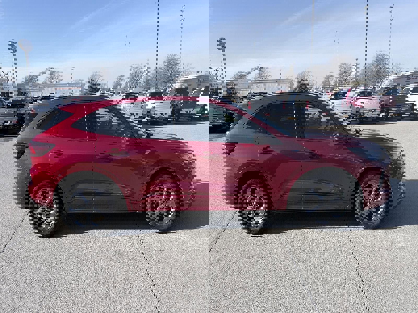 Used 2024 Ford Escape ST-Line image 5