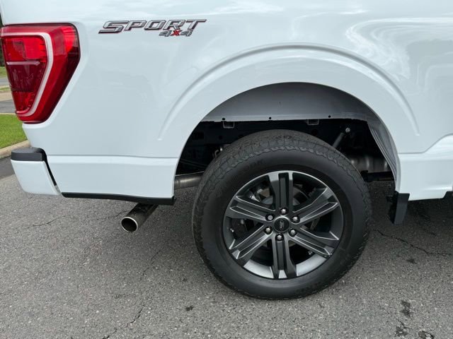 Certified 2023 Ford F150 XLT w/ Equipment Group 302A High image 7