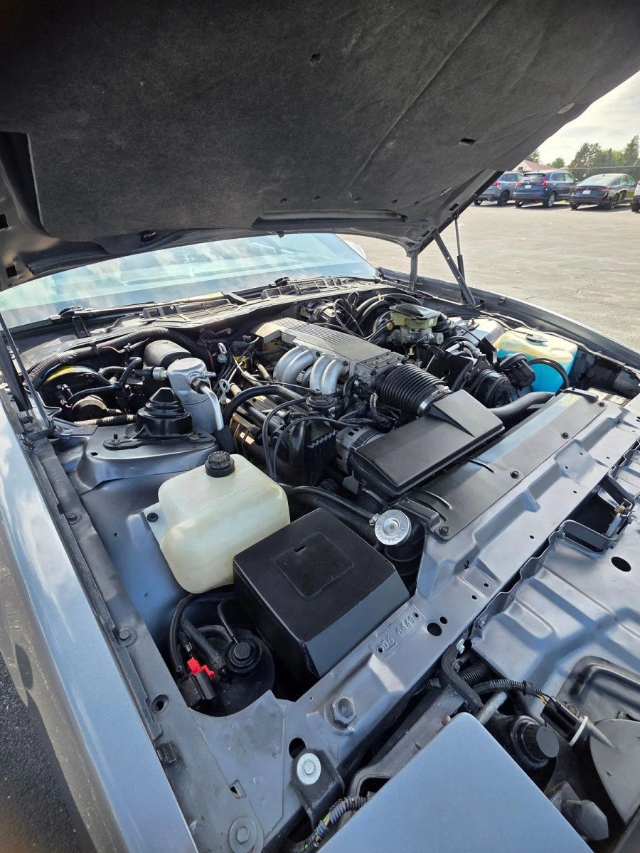 Used 1987 Pontiac Firebird Trans Am RWD image 56