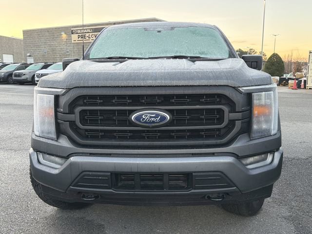 Used 2022 Ford F150 XLT w/ Equipment Group 302A High image 2