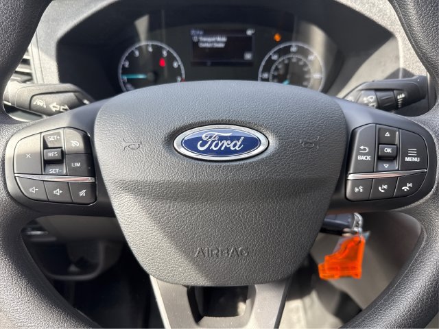 New 2025 Ford Transit 250 Low Roof RWD image 24