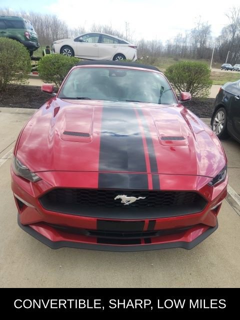 Used 2022 Ford Mustang Premium w/ Equipment Group 201A image 3