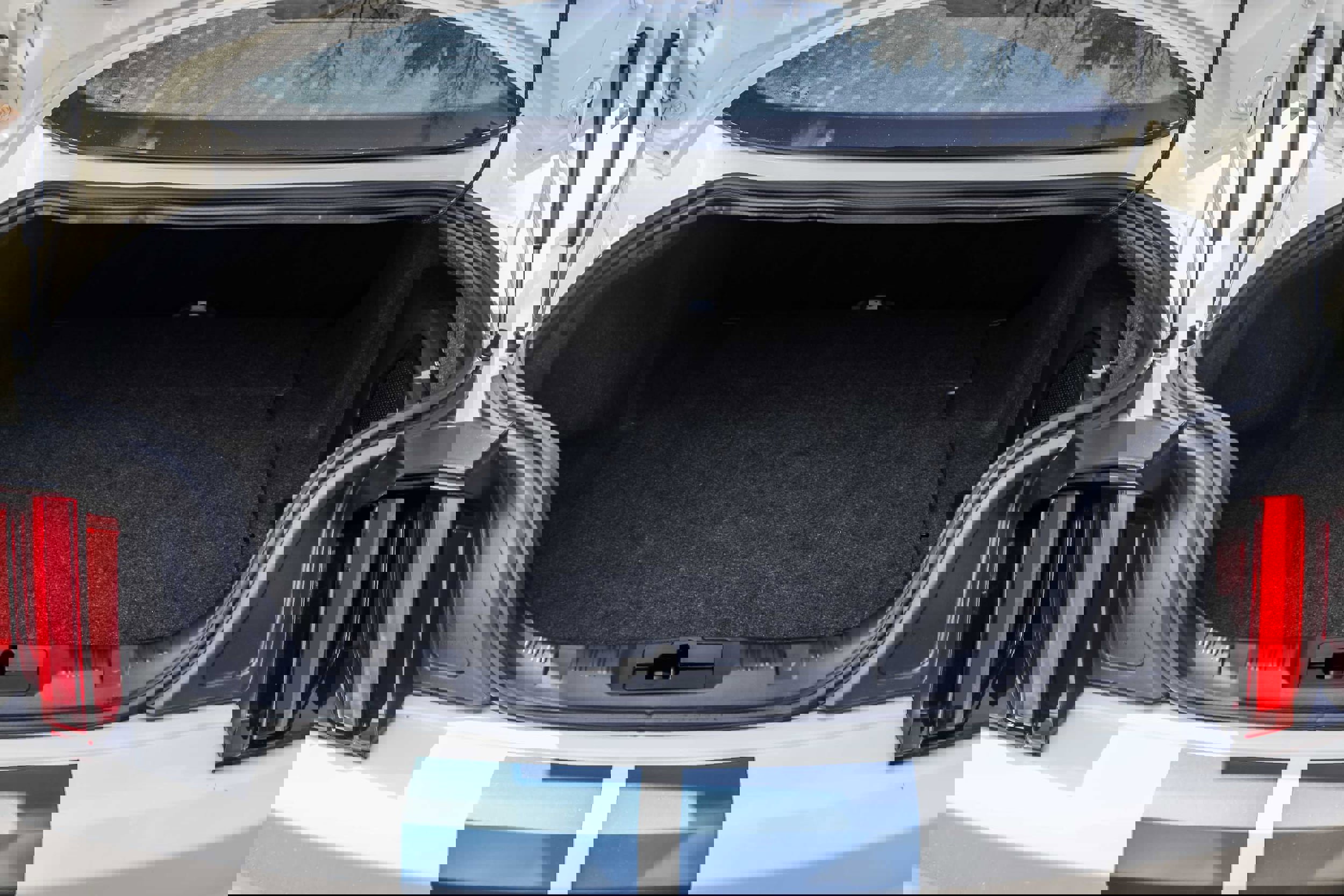 Used 2020 Ford Mustang Shelby GT350R w/ GT350R Equipment Group 920A image 16