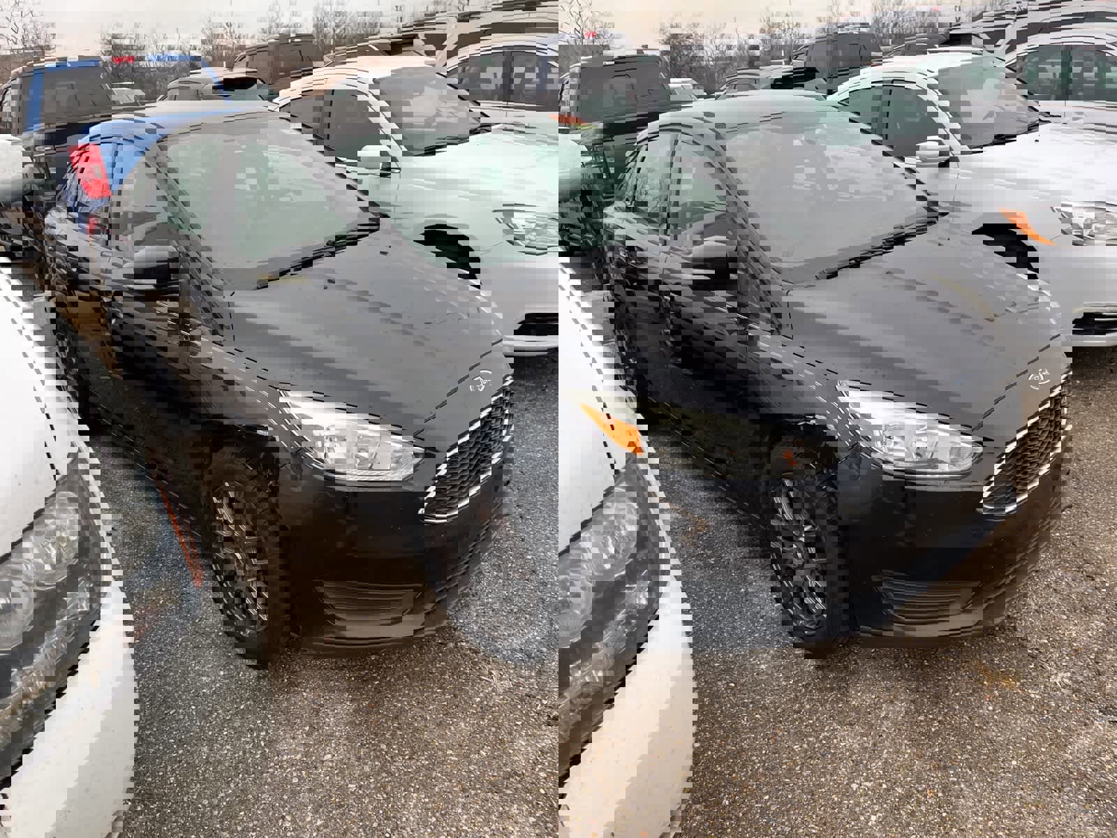 Used 2015 Ford Focus SE image 18