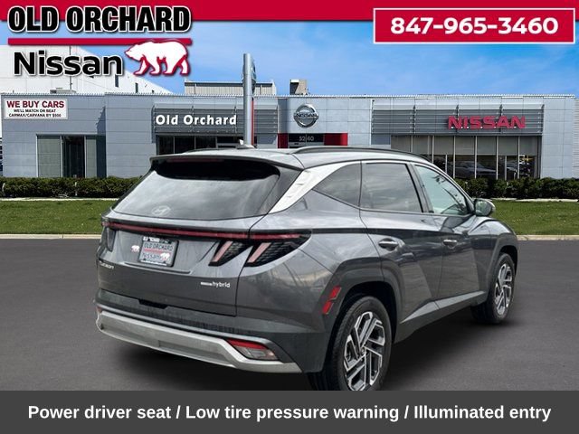 Used 2025 Hyundai Tucson Limited AWD/4WD image 6