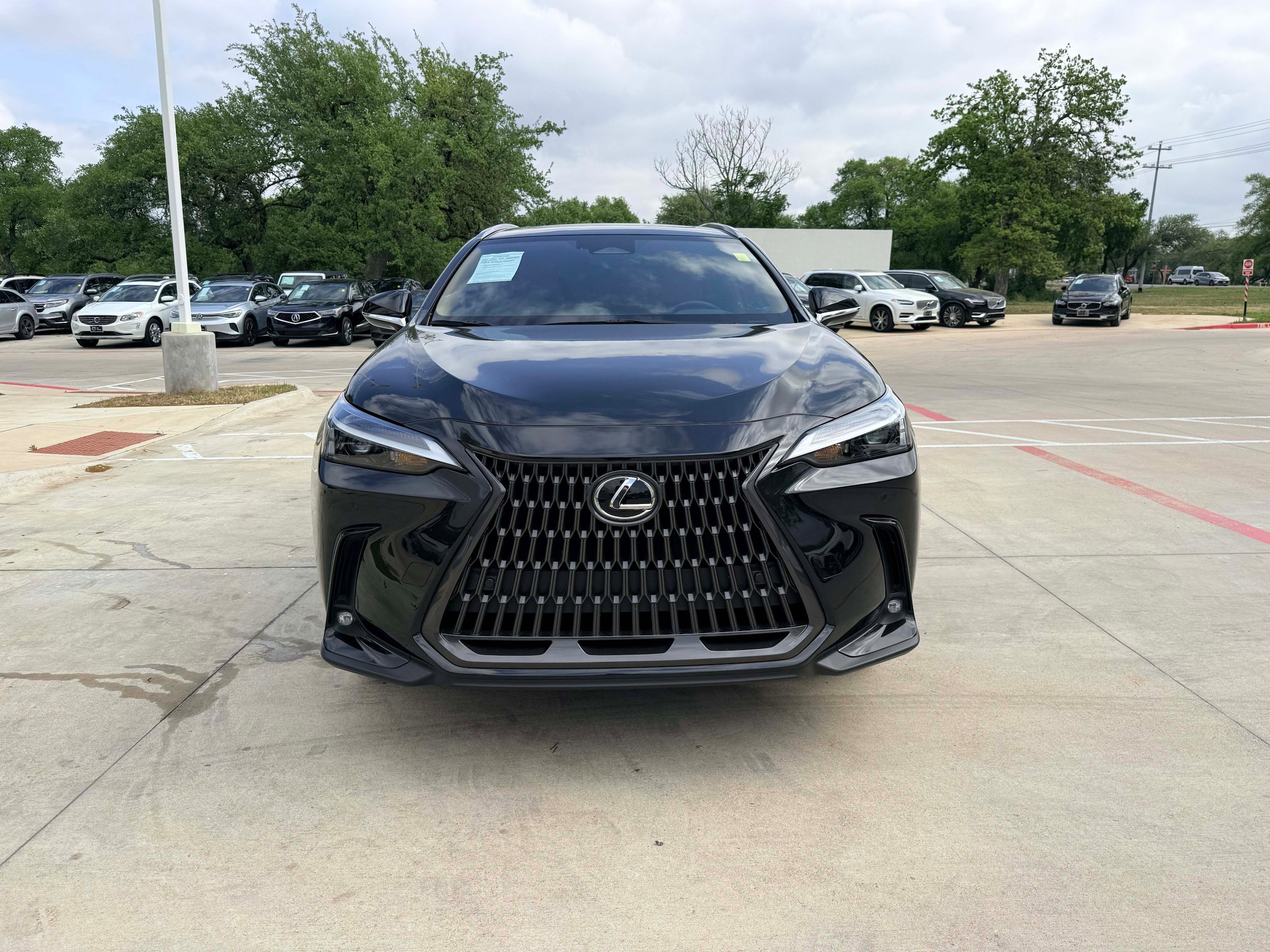Used 2024 Lexus NX 350h AWD image 8