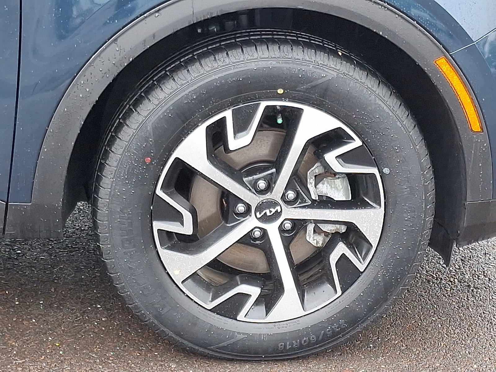 Used 2024 Kia Sportage EX w/ EX Premium Package image 8