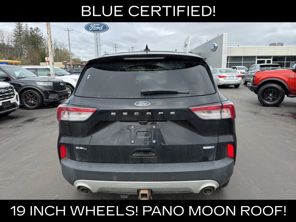 Used 2020 Ford Escape SEL image 6