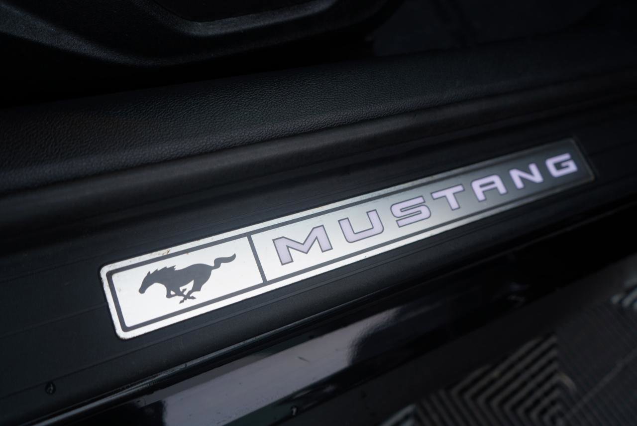 Used 2015 Ford Mustang GT Premium w/ Equipment Group 401A image 55