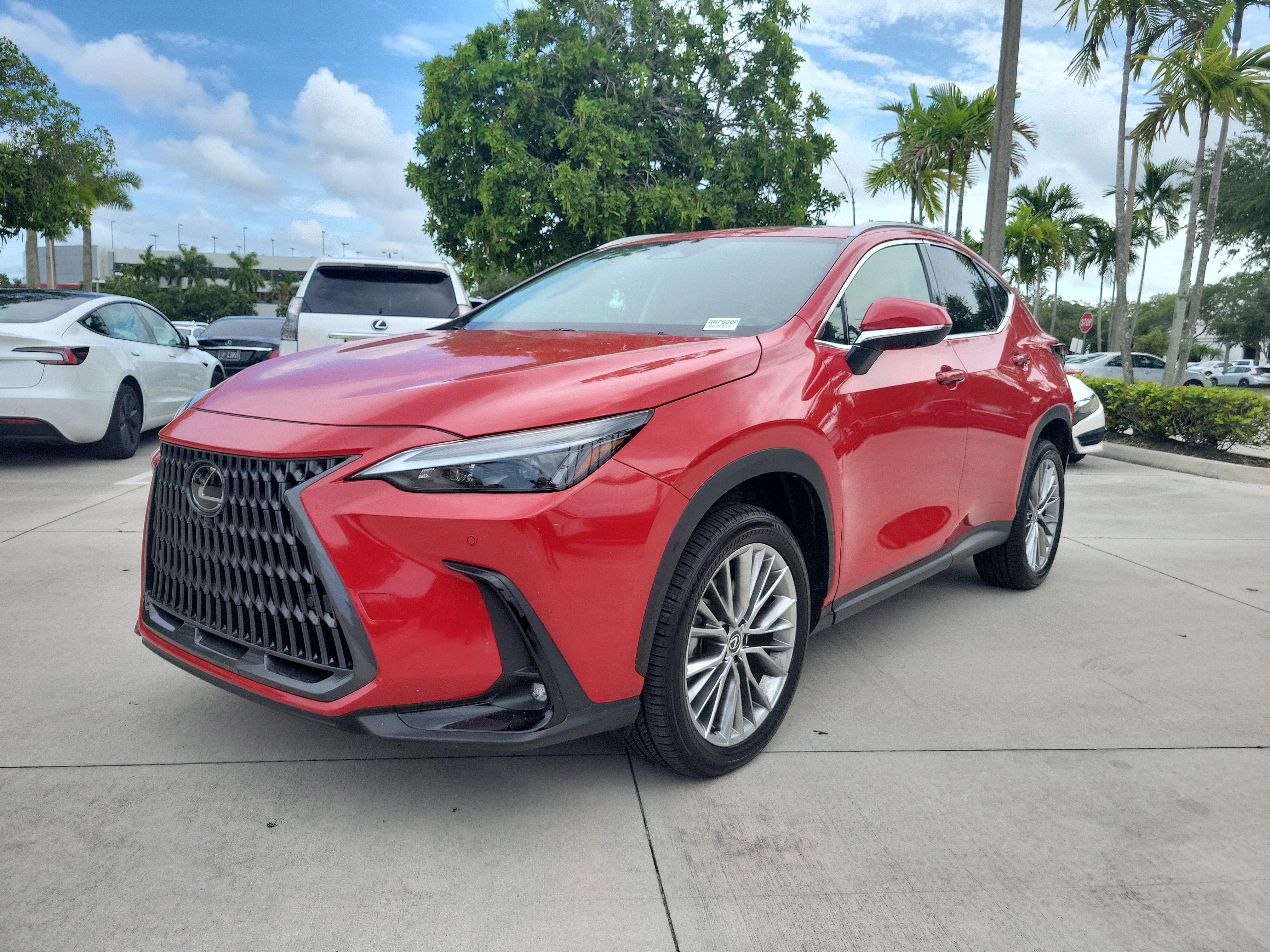 Certified 2025 Lexus NX 350 AWD w/ Cold Area Package image 5