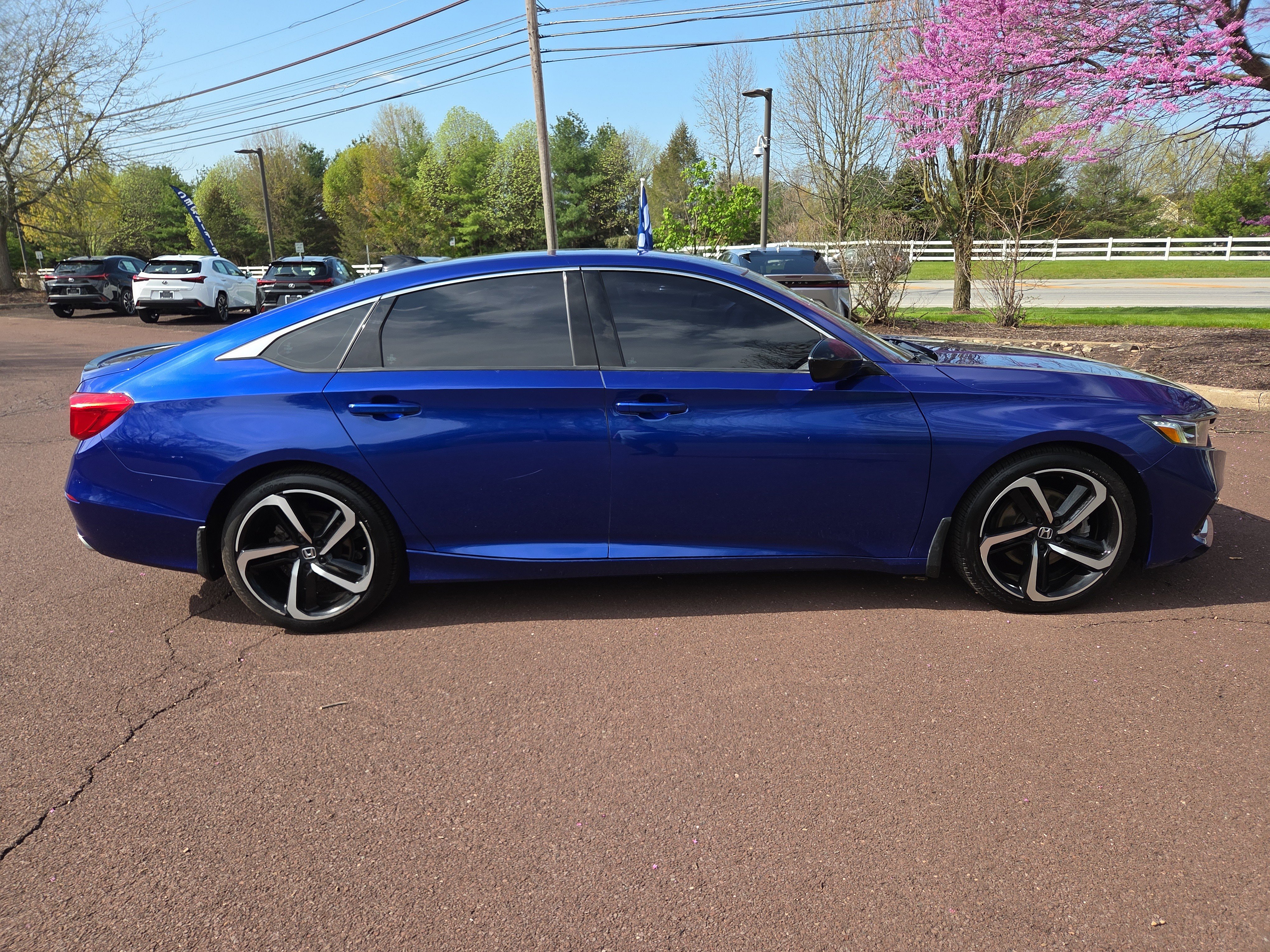 Used 2022 Honda Accord Sport Special Edition image 2