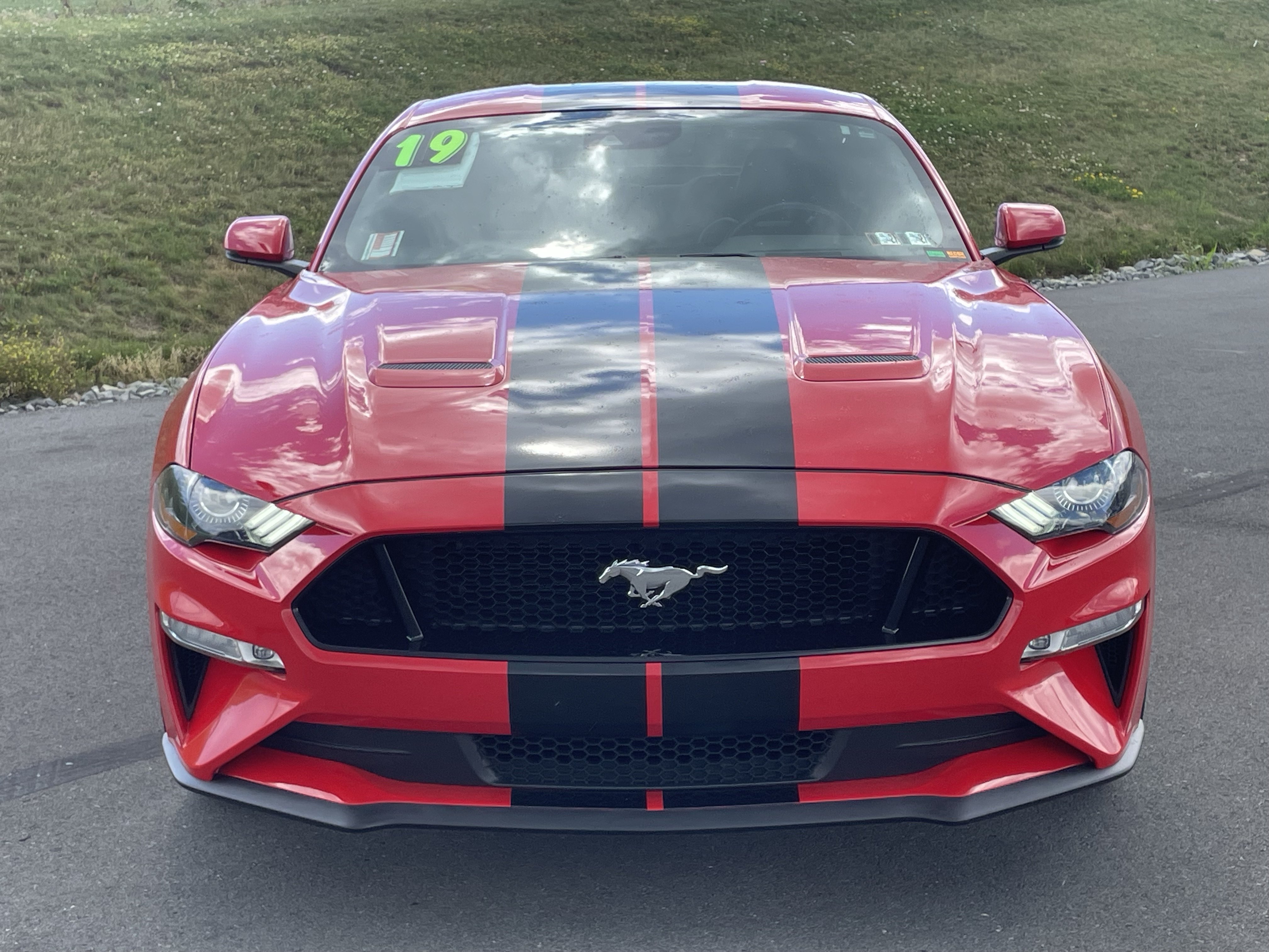 Used 2019 Ford Mustang GT Premium w/ Equipment Group 401A RWD image 9