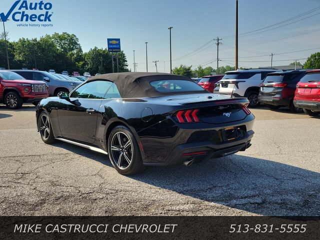 Used 2025 Ford Mustang Premium RWD image 3