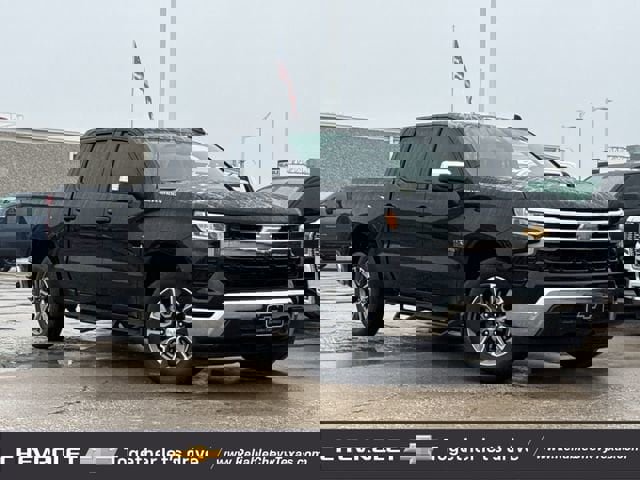 Used 2024 Chevrolet Silverado 1500 LT w/ Texas Edition Plus RWD image 2