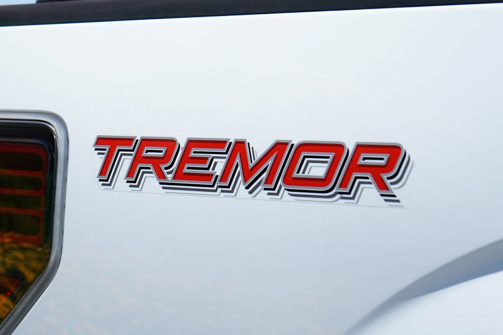 Used 2014 Ford F150 FX4 w/ FX Appearance Package image 44