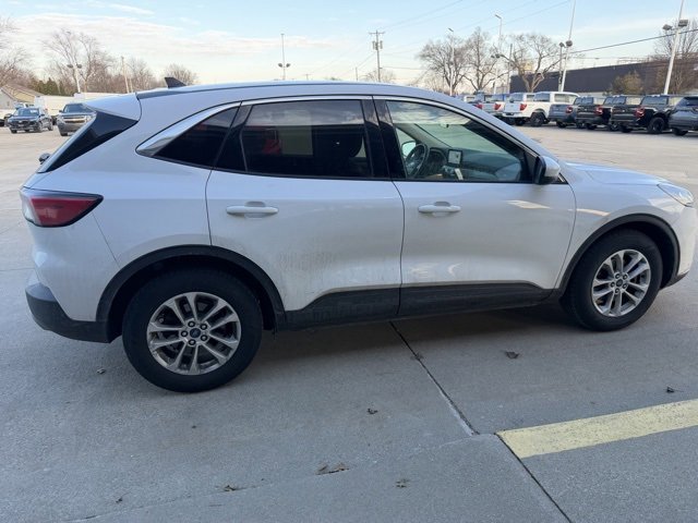 Used 2020 Ford Escape SE image 7