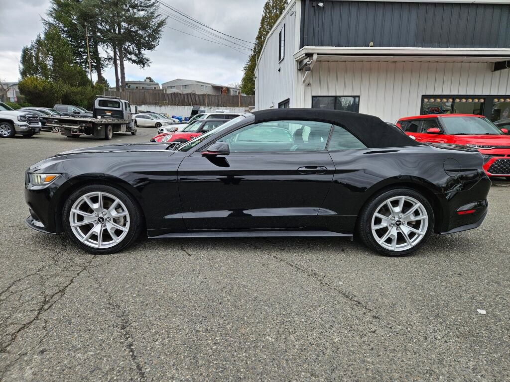 Used 2015 Ford Mustang Premium w/ Equipment Group 201A image 11