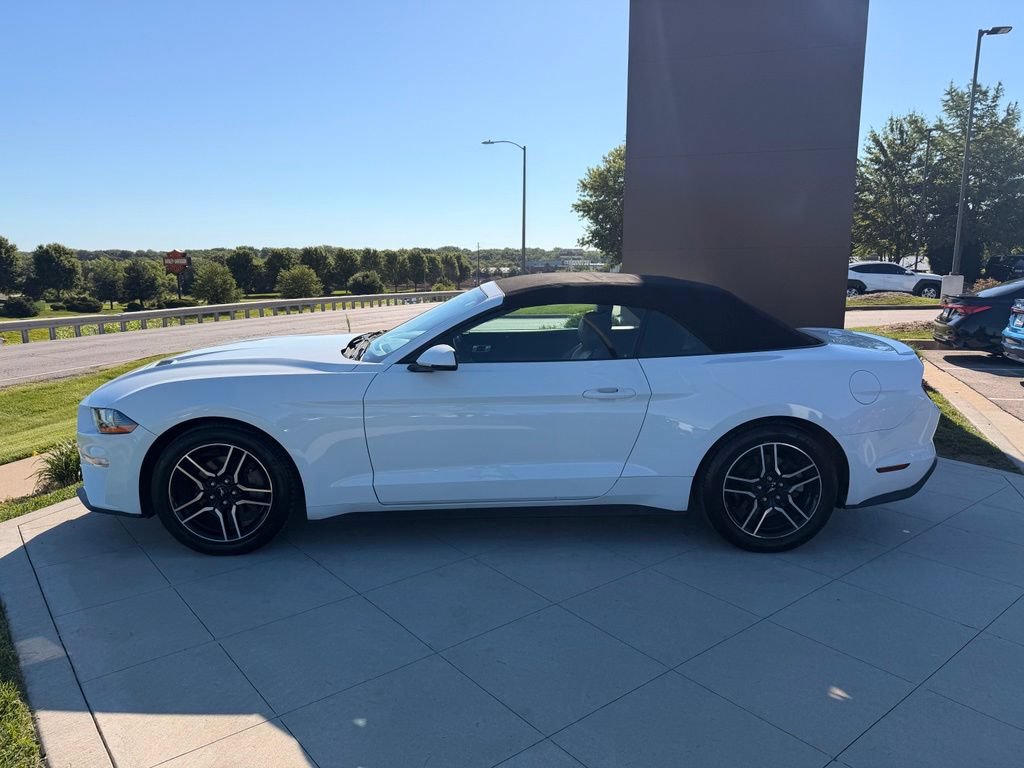 Used 2019 Ford Mustang Premium RWD image 6