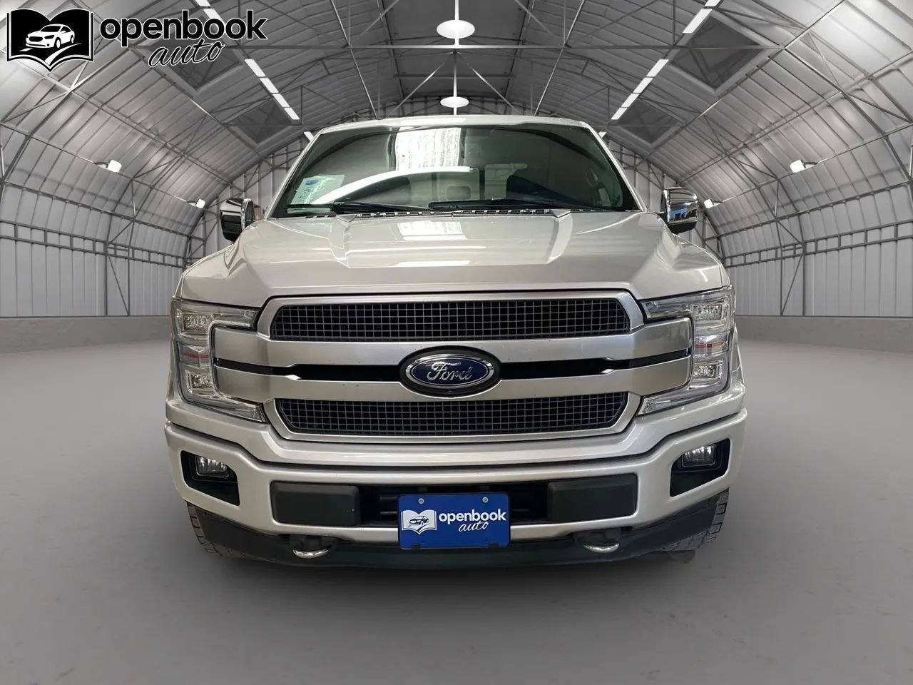 Used 2019 Ford F150 Platinum w/ Equipment Group 701A Luxury image 2