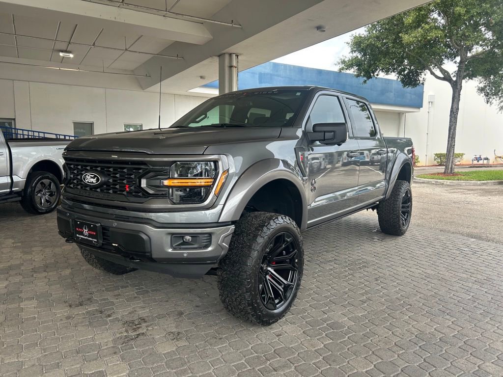 New 2025 Ford F150 XLT w/ Equipment Group 303A High image 1