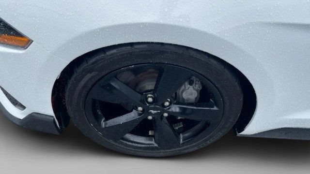 Used 2023 Ford Mustang GT Premium w/ Mustang Nite Pony Package RWD image 6