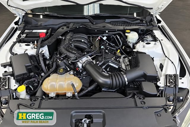 Used 2017 Ford Mustang Coupe RWD image 14