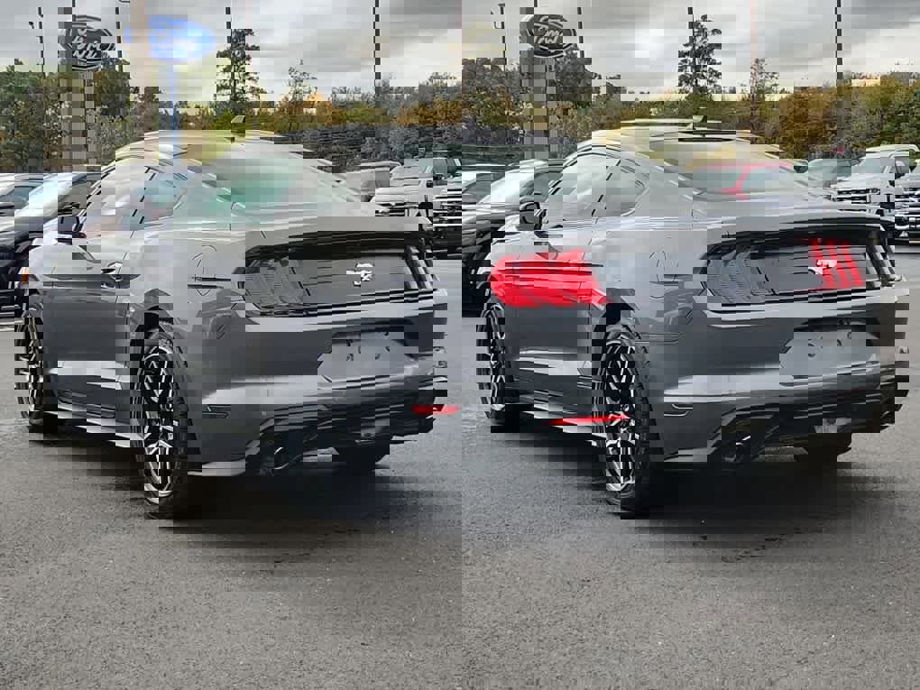 Used 2021 Ford Mustang EcoBoost w/ Equipment Group 101A image 4