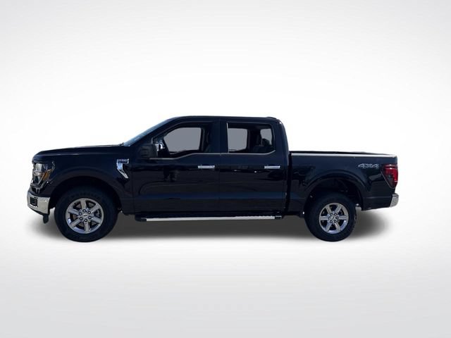 Used 2025 Ford F150 XLT w/ Equipment Group 301A Standard AWD/4WD image 2