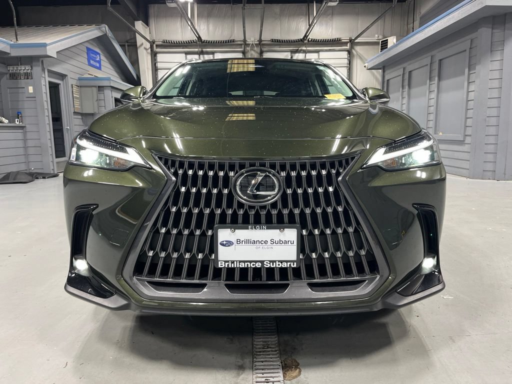 Used 2024 Lexus NX 350h AWD w/ Cold Area Package image 2