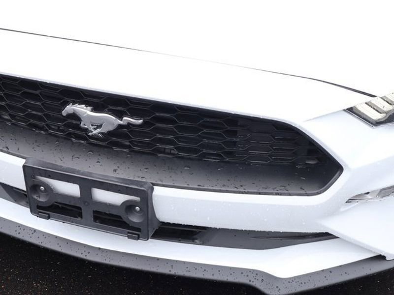 Used 2020 Ford Mustang Premium image 10