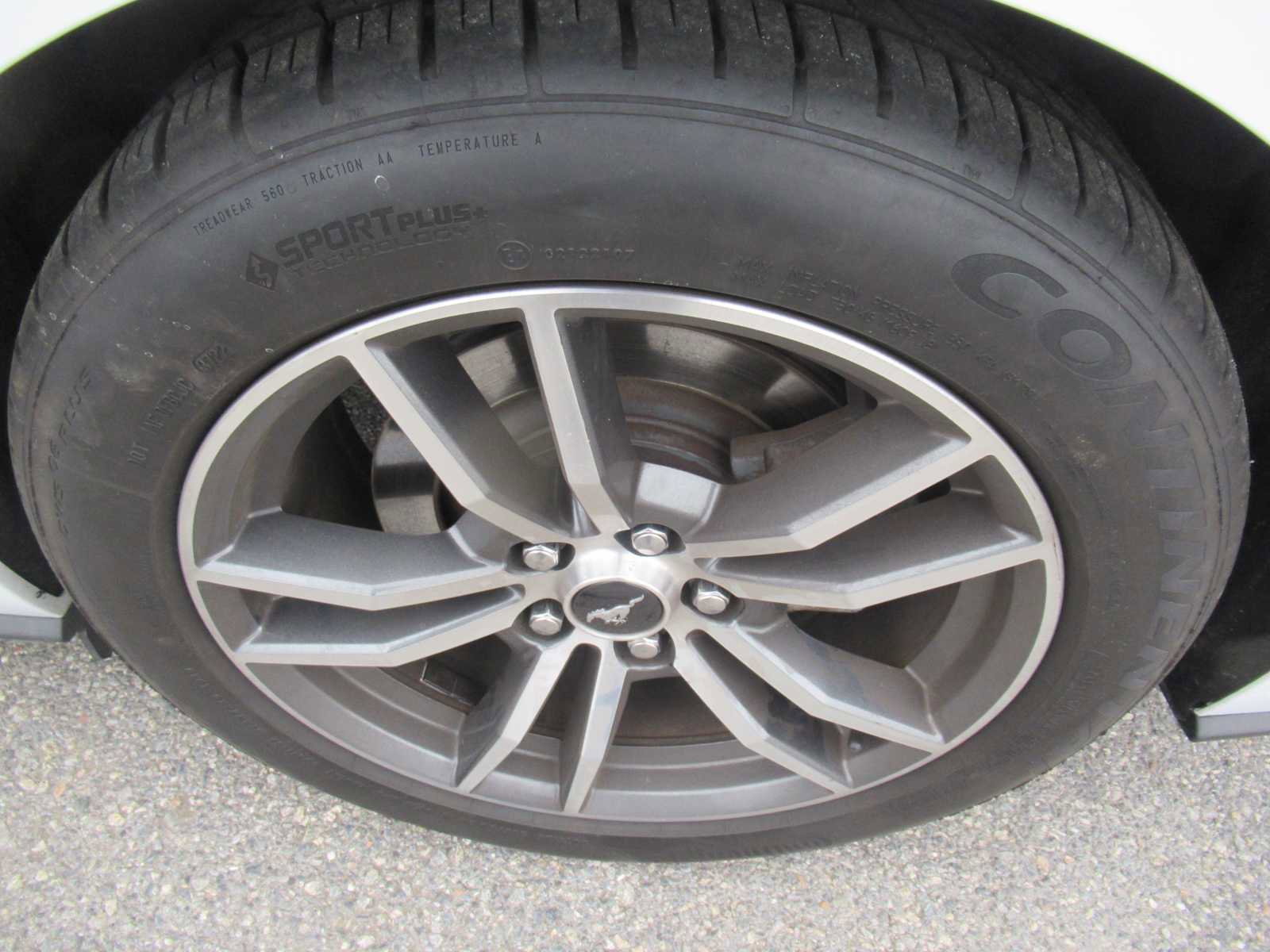 Used 2015 Ford Mustang GT Premium w/ Equipment Group 401A image 9