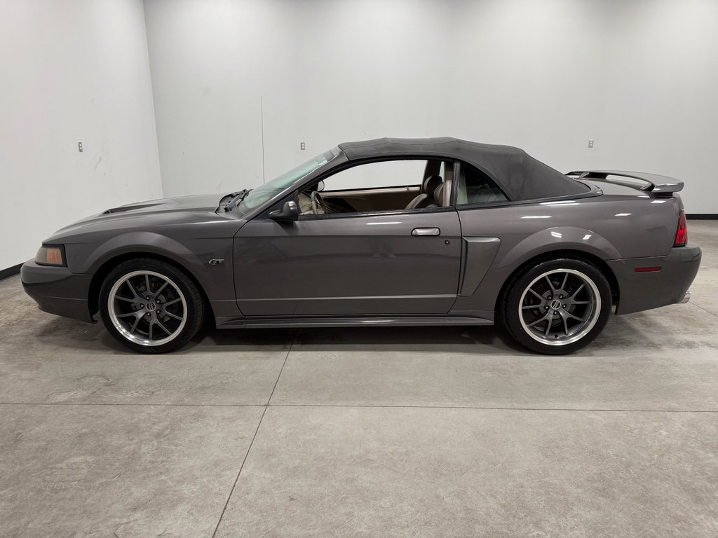 Used 2003 Ford Mustang GT image 5