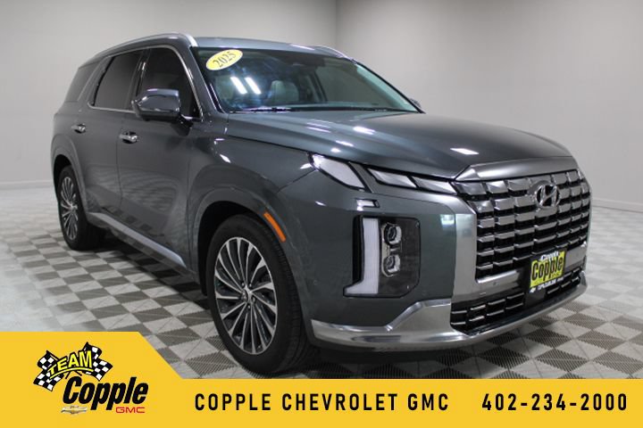 Used 2025 Hyundai Palisade Calligraphy AWD/4WD 360° Tour