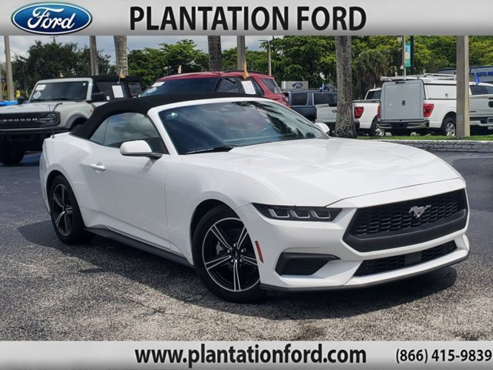 Used 2024 Ford Mustang Premium RWD image 1